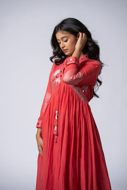 Gulabi Sheesh Signature Mirror Work Dress